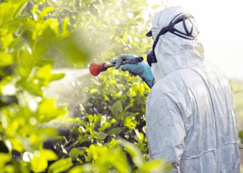 Pesticidal Plant Society of Nigeria Partners RMRDC to Enhance Staff Capacity