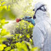 Pesticidal Plant Society of Nigeria Partners RMRDC to Enhance Staff Capacity