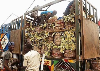 Chains in Nigeria Markets