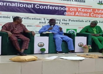 Prof. Ike-Muonso, Advocates for Science, Technology, and Innovation (STI) To Drive Nigerian’s Economic Growth