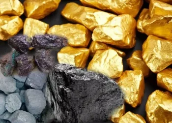 Brain Wealth Project and RMRDC Forge Partnership to Enhance Mineral Resource Education in Katsina
