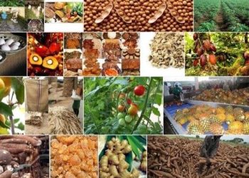 Strategic Advantages Of Investing In Raw Materials