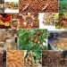 Strategic Advantages Of Investing In Raw Materials