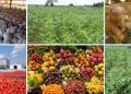 Unveiling Raw Materials Potentials Of Ebonyi State
