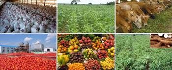 Unveiling Raw Materials Potentials Of Ebonyi State