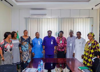 Group Seeks Collaboration with RMRDC to Access Global Gateway Grants