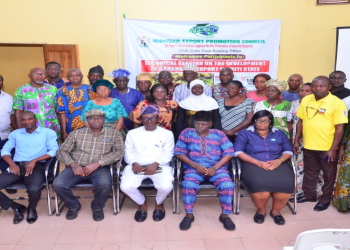 Ekiti State Banana and Plantain Farmers Call on RMRDC and Others for Value-Chain Development