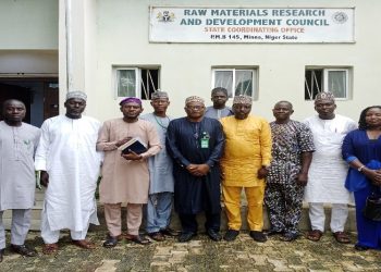 Niger State Technology Incubation Centre Manager Lauds RMRDC