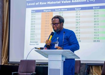 RMRDC Committed To Driving Raw Materials Development – Prof. Nnanyelugo