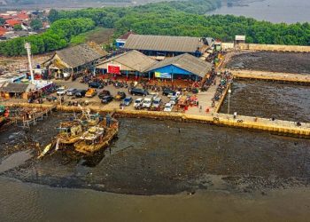 Global Trade and Raw Materials: Navigating Nigeria’s Role in the Complex Interplay