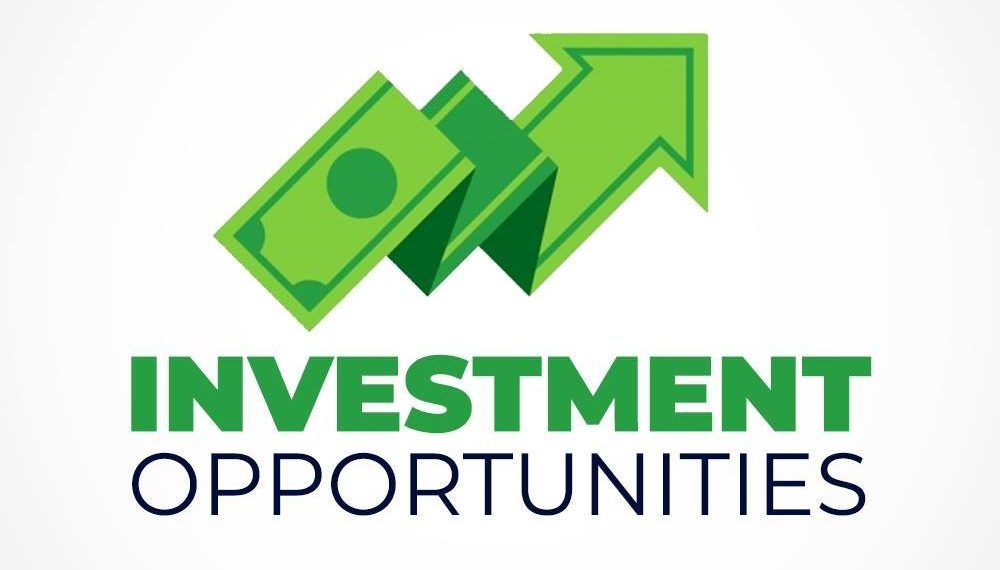 Investment Opportunities in Raw Materials: Exploring Nigeria’s Potential