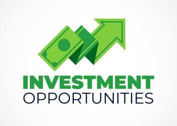 Investment Opportunities in Raw Materials: Exploring Nigeria’s Potential