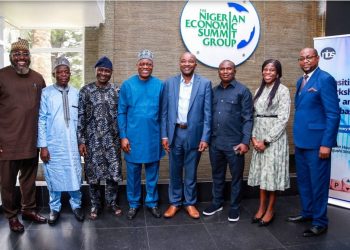Nigerian Economic Summit Group Applauds RMRDC Efforts in Raw Materials Value Addition
