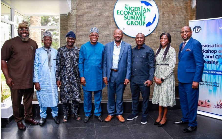 Nigerian Economic Summit Group Applauds RMRDC Efforts in Raw Materials Value Addition