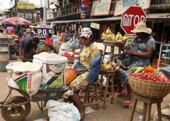Raw Materials Value Addition: Unlocking Nigeria’s Economic Potential Beyond Rhetoric, Dwindling Oil Revenue and the Economic Trinity