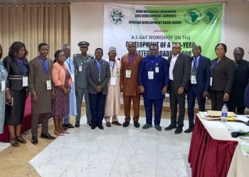 RMRDC, AfDB, Others Brainstorm on 10-Year Roadmap for Nigeria’s Raw Materials Sector