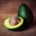 Potentials of Avocado Pit