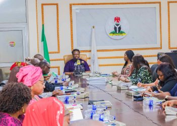 Breaking New Grounds: RMRDC to Host First Africa Raw Materials Summit