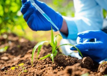 Unlocking Nigeria’s Economic Growth: Harnessing Agro-Research and Development