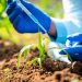 Unlocking Nigeria’s Economic Growth: Harnessing Agro-Research and Development