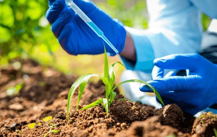 Unlocking Nigeria’s Economic Growth: Harnessing Agro-Research and Development