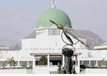 National Assembly To Hold Public Hearing On RMRDC Amendment Bill