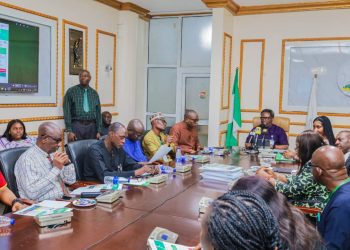 1000 Experts Set For 1st Africa Raw Materials Summit In Abuja