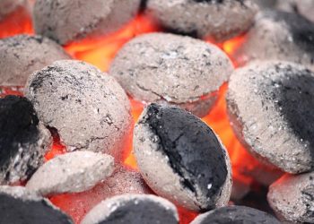 Charcoal Evolved: The Briquette Solution For Nigeria’s Future