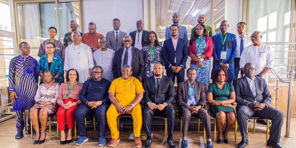 Africa Raw Materials Summit: ECOWAS Countries Poised for Prospective Participation