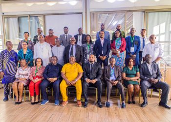 Africa Raw Materials Summit: ECOWAS Countries Poised for Prospective Participation