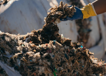 Microbial Organic Waste Bioconversion: A Sustainable Pathway for Industrial Growth in Nigeria