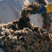 Microbial Organic Waste Bioconversion: A Sustainable Pathway for Industrial Growth in Nigeria