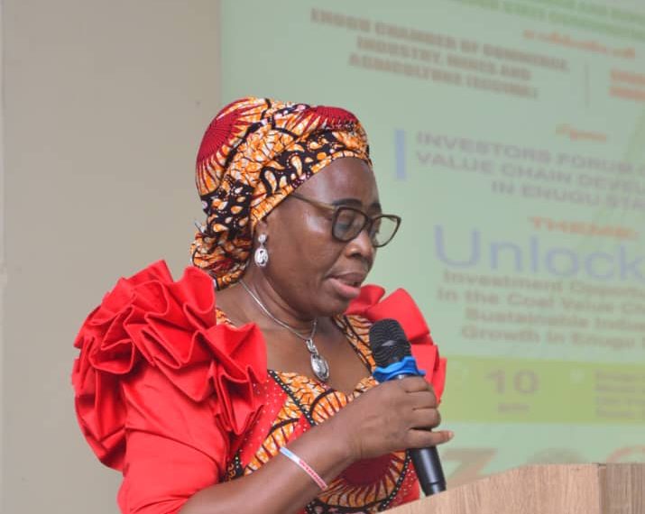 RMRDC and ECCIMA Host Ground-breaking Investors’ Forum in Enugu