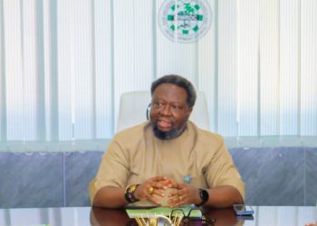 RMRDC Brings Africa’s Raw Materials to Global Spotlight: A New Dawn for the Continent
