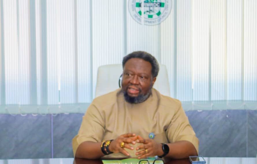 RMRDC Brings Africa’s Raw Materials to Global Spotlight: A New Dawn for the Continent