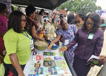 RMRDC Urges SMEs in Delta State to Embrace Plantain Value Addition for Economic Development