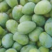 German Mango Season in Anambra State: Unlocking the Potential for Year-Round Production