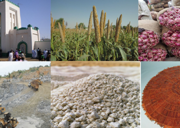 Sokoto: Nigeria’s Untapped Treasure Trove of Raw Materials and Investment Potential