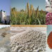 Sokoto: Nigeria’s Untapped Treasure Trove of Raw Materials and Investment Potential