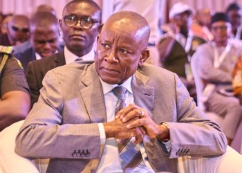 Africa Must Invest in Value Addition, Skills, and SMEs Says Minister