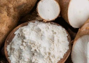 Unlocking the Full Economic Potential of Cassava Starch for Industrial Growth in Imo State