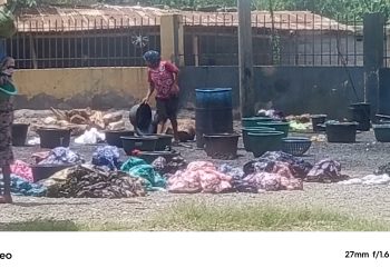 Adire/Kampala Producers and Marketers Urge RMRDC to Develop Natural Dye for Production