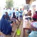RMRDC and TDRTI move to Combat Skin Bleaching in Nigeria Using Locally Sourced Raw Materials