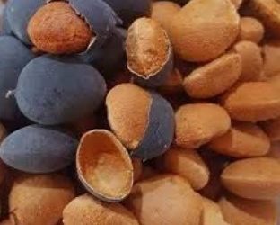 Unlocking Nigeria’s Economic Potential Through Velvet Tamarind Shells