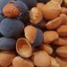 Unlocking Nigeria’s Economic Potential Through Velvet Tamarind Shells