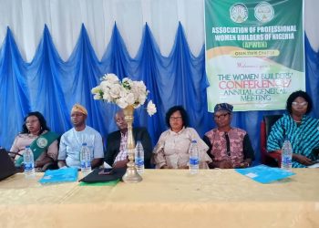 RMRDC Pushes for Innovation in Construction through Local Raw Materials at APWBN Osun Conference