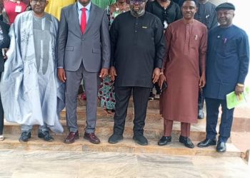 Nanotechnology Critical to Economic Revitalization and Green Revolution – RMRDC DG