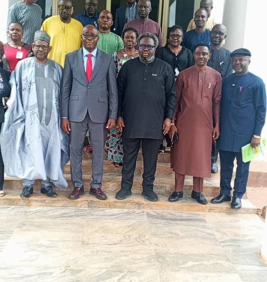 Nanotechnology Critical to Economic Revitalization and Green Revolution – RMRDC DG