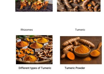 Unlocking Nigeria’s Golden Opportunity: Harnessing the Economic Value of Turmeric through Local Processing