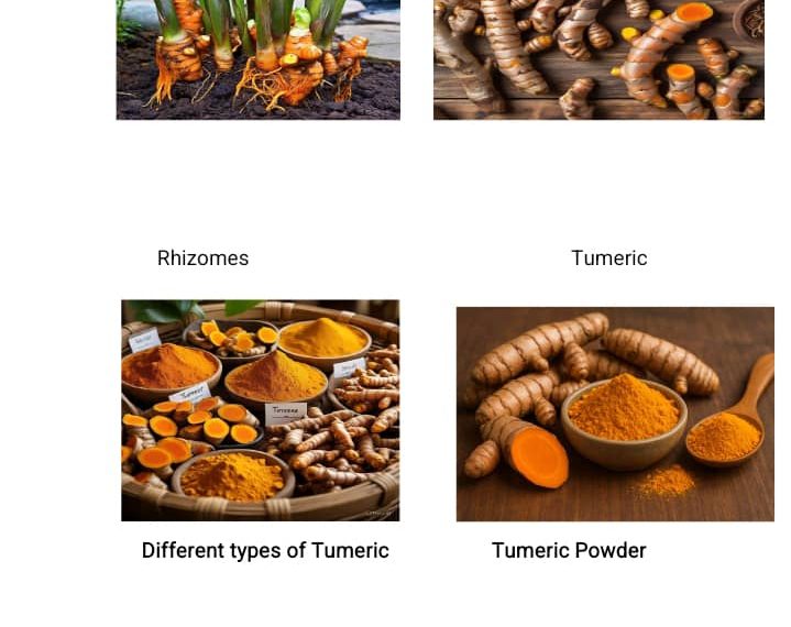 Unlocking Nigeria’s Golden Opportunity: Harnessing the Economic Value of Turmeric through Local Processing